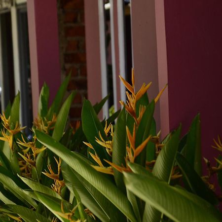 Baronda Guest House Sorong Buitenkant foto