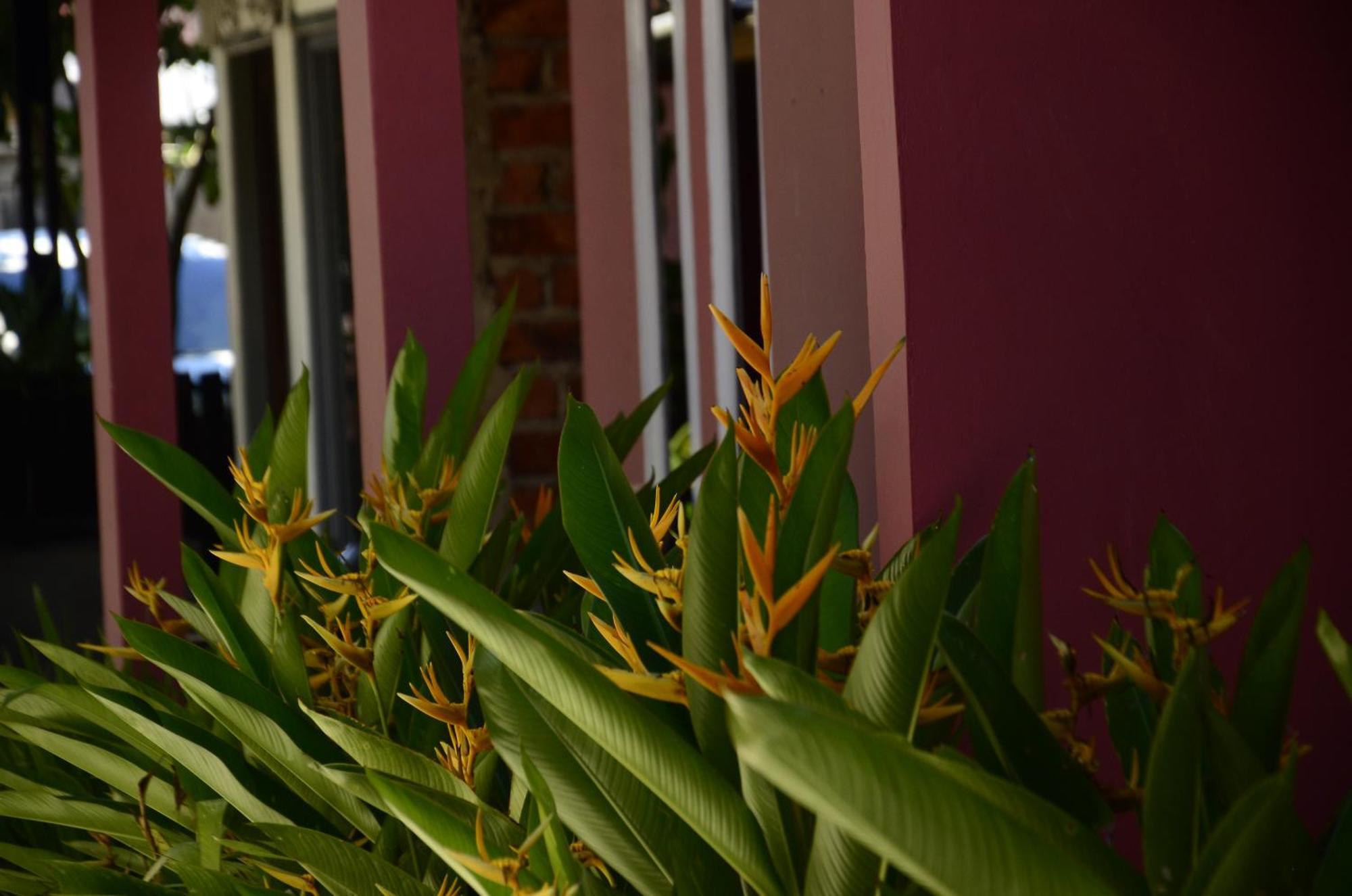 Baronda Guest House Sorong Buitenkant foto