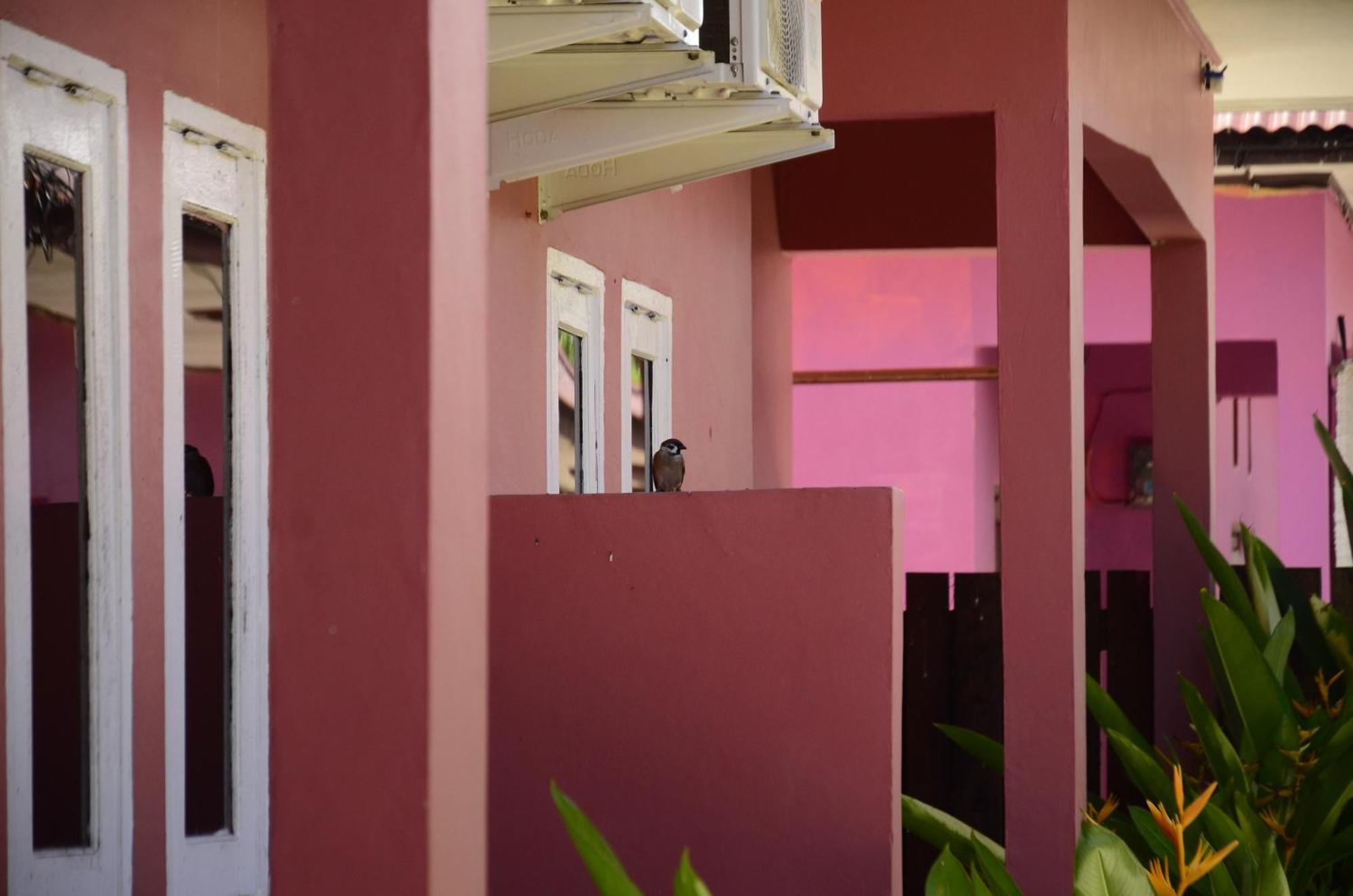 Baronda Guest House Sorong Buitenkant foto